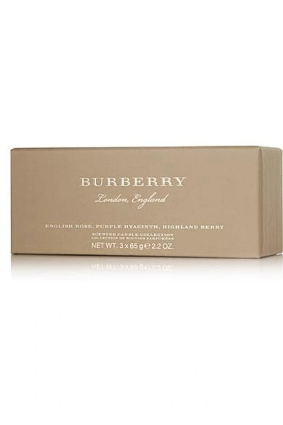 Shop Burberry Beauty Purple Hyacinth, Highland Berry And English Rose Set Of Three Scented Candles, 3 X 65g In Colorless