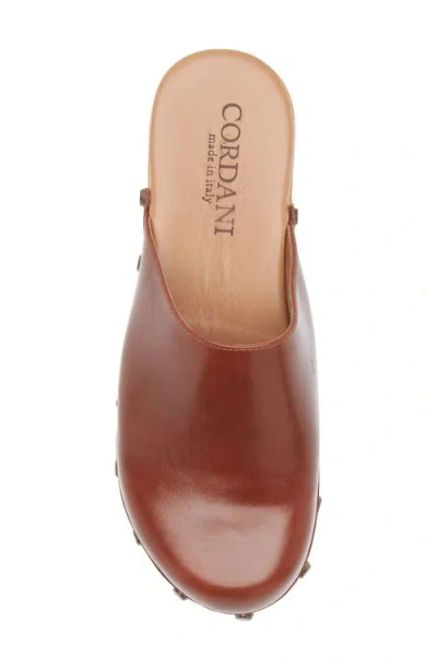 Cordani Wilka Platform Mule