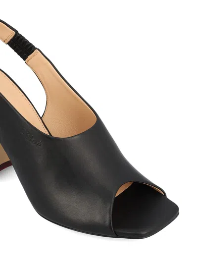 Chloé Low Shoes