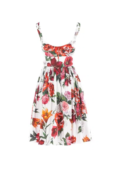 Dolce & Gabbana White Cotton Poplin Dress In Multi