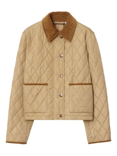 Burberry Oldham Beige Quilted Jacket With Corduroy Collar In Tech Fabric Woman