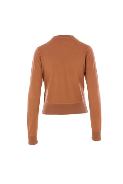 Chloé Crewneck Knitewear Knitwear Brown In Brown