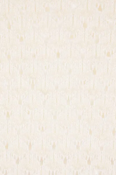 Chloé Women Ivory Knit Polo Shirt With Lace Collar In Neutral