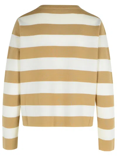 Max Mara Crew Neck Striped Wool Sweater With Embroidered Detail In Brown