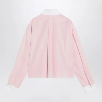 Miu Miu Cotton Shirt With White Collar And Cuffs In Pink
