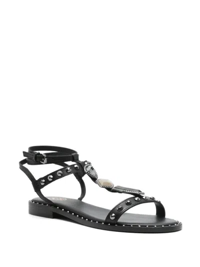 Ash Black Calf Sandals With Studs