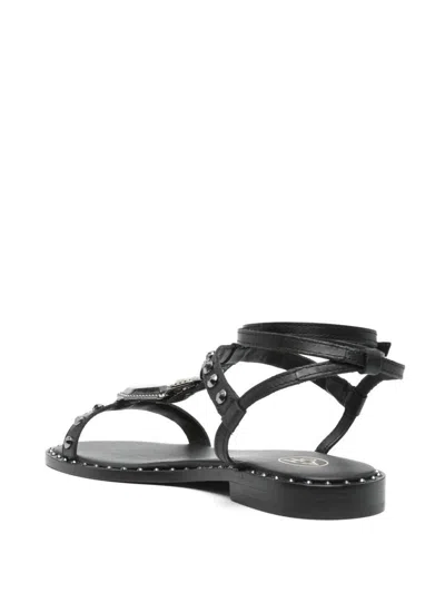 Ash Black Calf Sandals With Studs