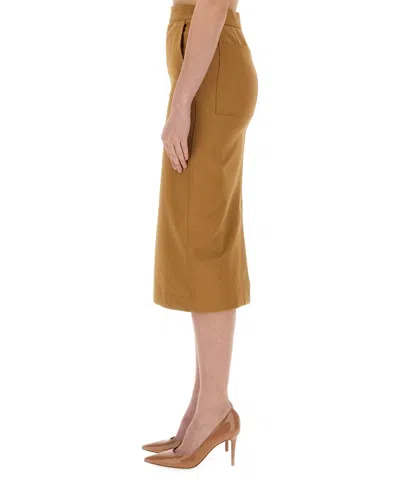 Max Mara Cresta Midi Skirt