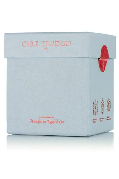 Shop Cire Trudon Ernesto Scented Candle, 270g In Green