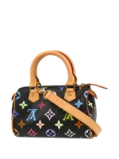 Pre-owned Louis Vuitton X Takashi Murakami Speedy Handbag