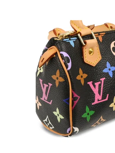 Pre-owned Louis Vuitton X Takashi Murakami Speedy Handbag