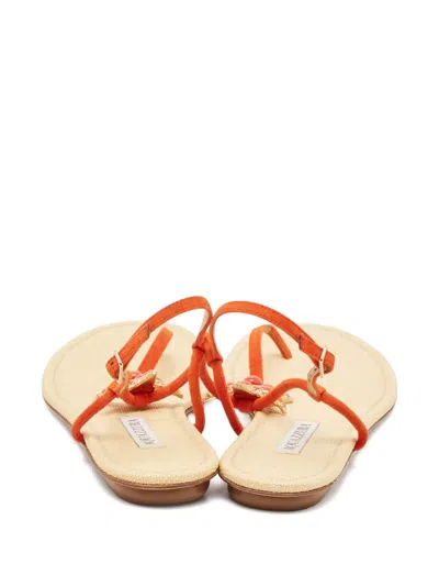 Pre-owned Aquazzura  Starfish Suede-strap Sandals In Orange