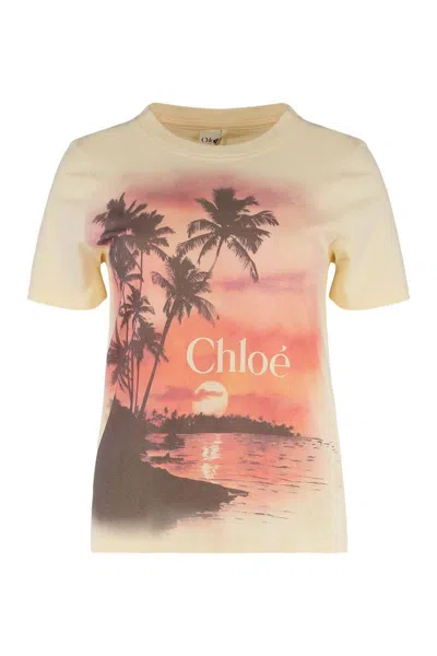 Chloé Cotton Crew-neck T-shirt In White