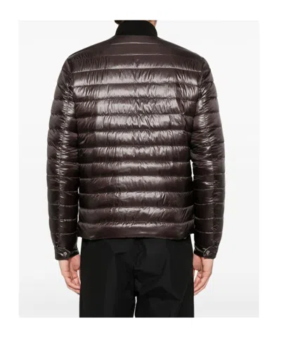 Herno Quilted Brown Down Coat With High Collar In Black