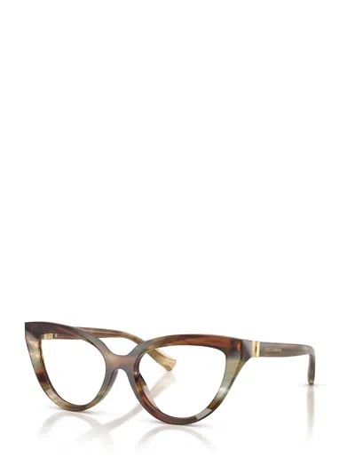Dolce & Gabbana Cat's Eye Glasses