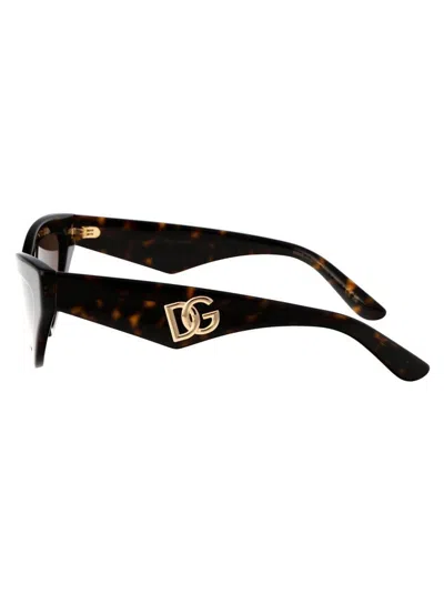 Dolce & Gabbana Havana Acetate Sunglasses In Brown