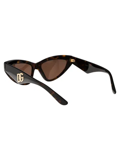 Dolce & Gabbana Havana Acetate Sunglasses In Brown