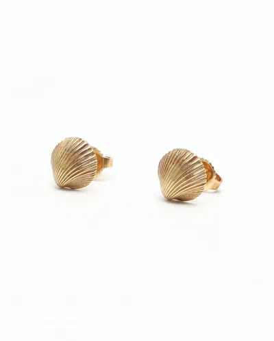 Tiffany & Co 18kt Yellow Gold Shell Earrings