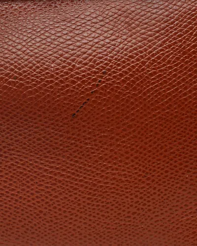 Celine Céline Triomphe Weekend Bag In Brown