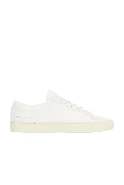 Common Projects Achilles In Canvas