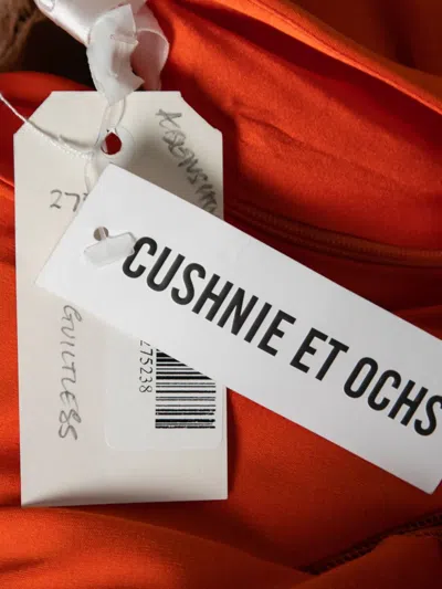 Pre-owned Cushnie  Mesh Panel Maxi Dress In Orange