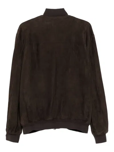 Canali Suede Bomber Jacket In Brown