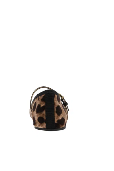 Dolce & Gabbana Leo Print Ballet Flats In Brown