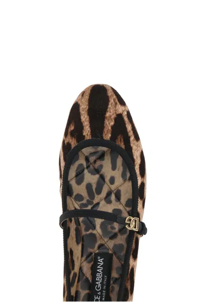 Dolce & Gabbana Leo Print Ballet Flats In Brown