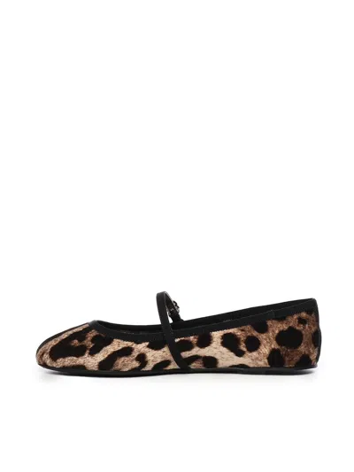 Dolce & Gabbana Leo Print Ballet Flats In Brown
