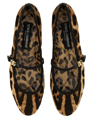 Dolce & Gabbana Leo Print Ballet Flats In Brown