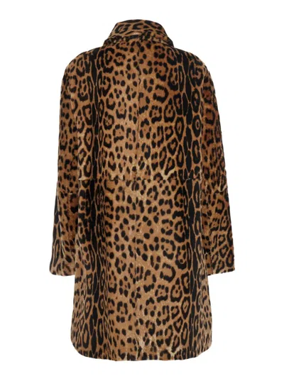 P.a.r.o.s.h Leopard Shearling Jacket In Animal Print