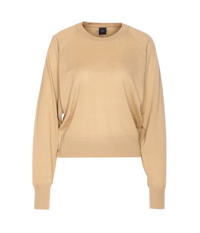 Pinko Lanzarote Sweater In Brown