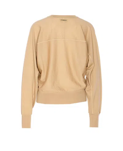 Pinko Lanzarote Sweater In Brown