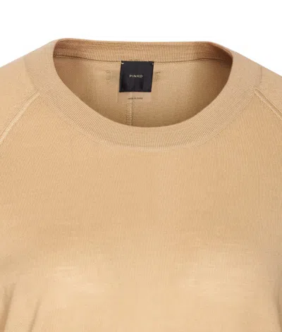 Pinko Lanzarote Sweater In Brown