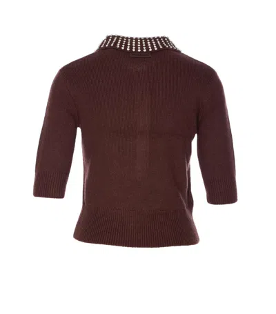 Pinko Emilia Sweater With Strass In Brown