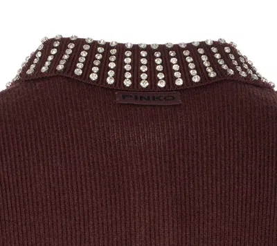 Pinko Emilia Sweater With Strass In Brown