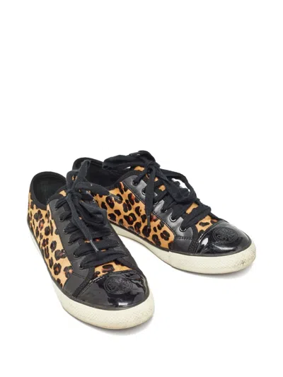 Pre-owned Tory Burch  Marin Ocelot Sneakers In Black