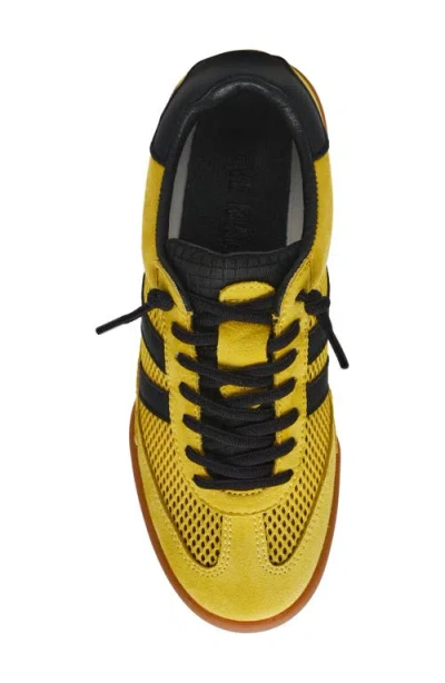 Steve Madden Verdict Mesh Sneaker