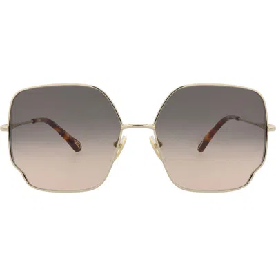 Chloé 60mm Butterfly Sunglasses