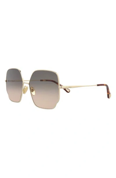 Chloé 60mm Butterfly Sunglasses
