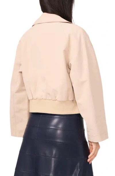 1.state Crop Trench Coat