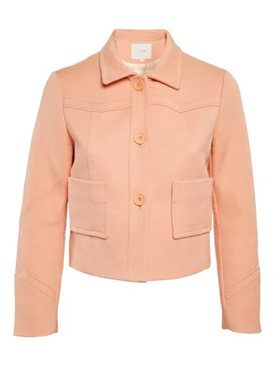 Pre-owned Maje Cropped Jacket