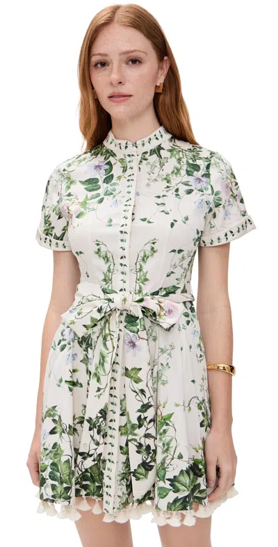 Alice And Olivia Lucy Rolled Sleeve Mini Shirt Dress Ivy Romance In Multi