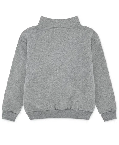 Nike Toddler & Little Kids Neutral Quarter-zip Long-sleeve Top In Gray