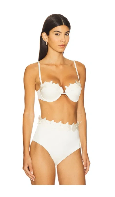 Ancora Sylva Bikini Top In White