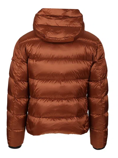 Moorer Brett-sh Piumino Cappuccio Trapuntato Nylon Coats Brown In Brown