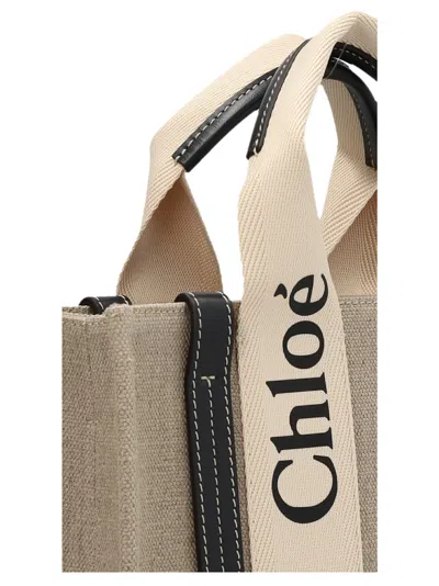 Chloé Woody Small Hand Bags Multicolor