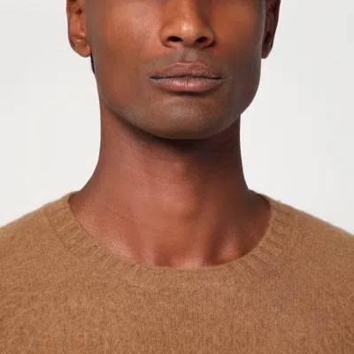 Drumohr Man Sweater Camel Size 48 Lambswool In Brown