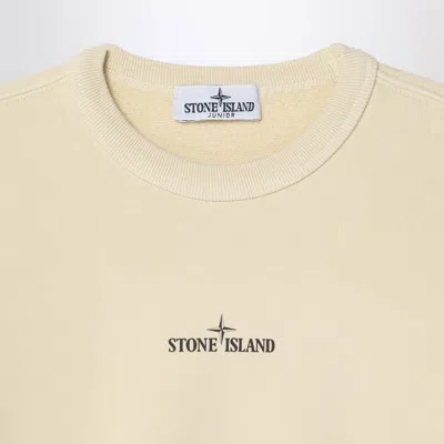 Stone Island Ivory Cotton Crewneck Sweatshirt With Logo In Brown