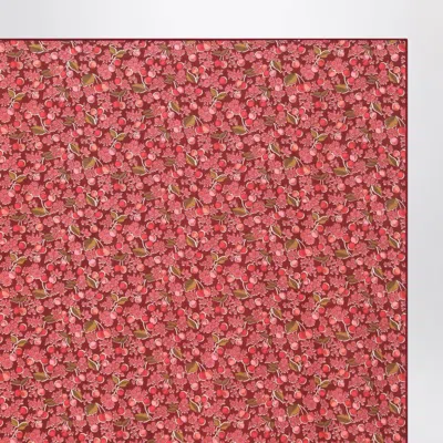 Bonpoint Fuchsia Red Liberty Print Scarf In Pink